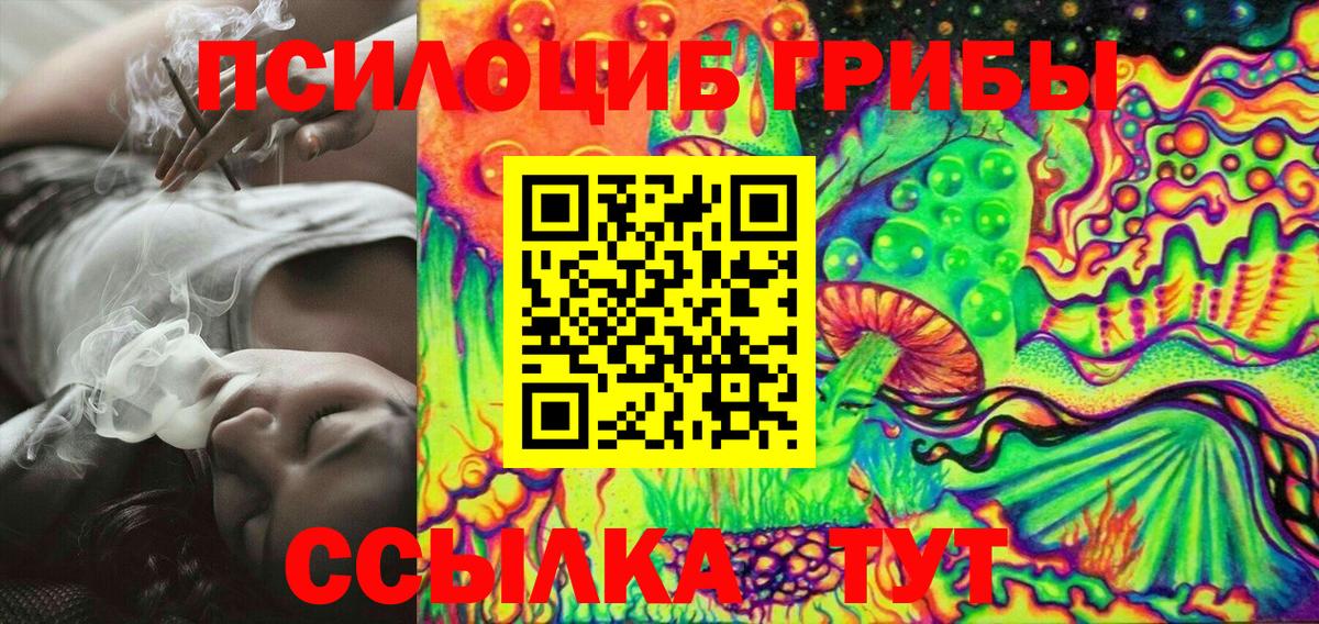 Псилоцибиновые грибы Psilocybe Можайск