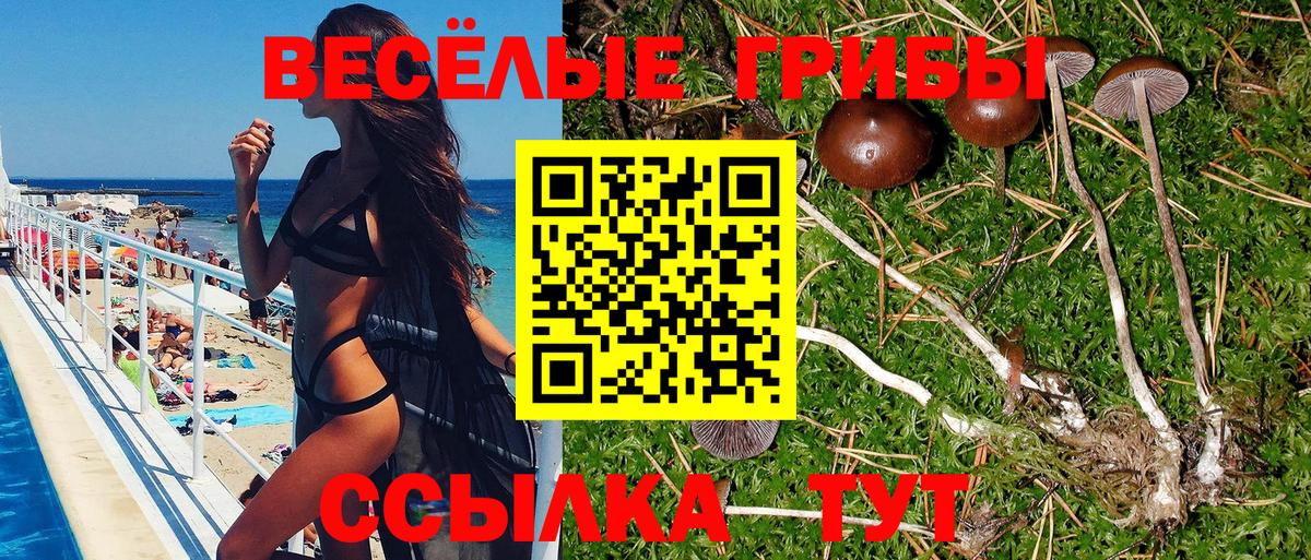 Можайск  Галлюциногенные грибы Psilocybe  Вход с VPN 